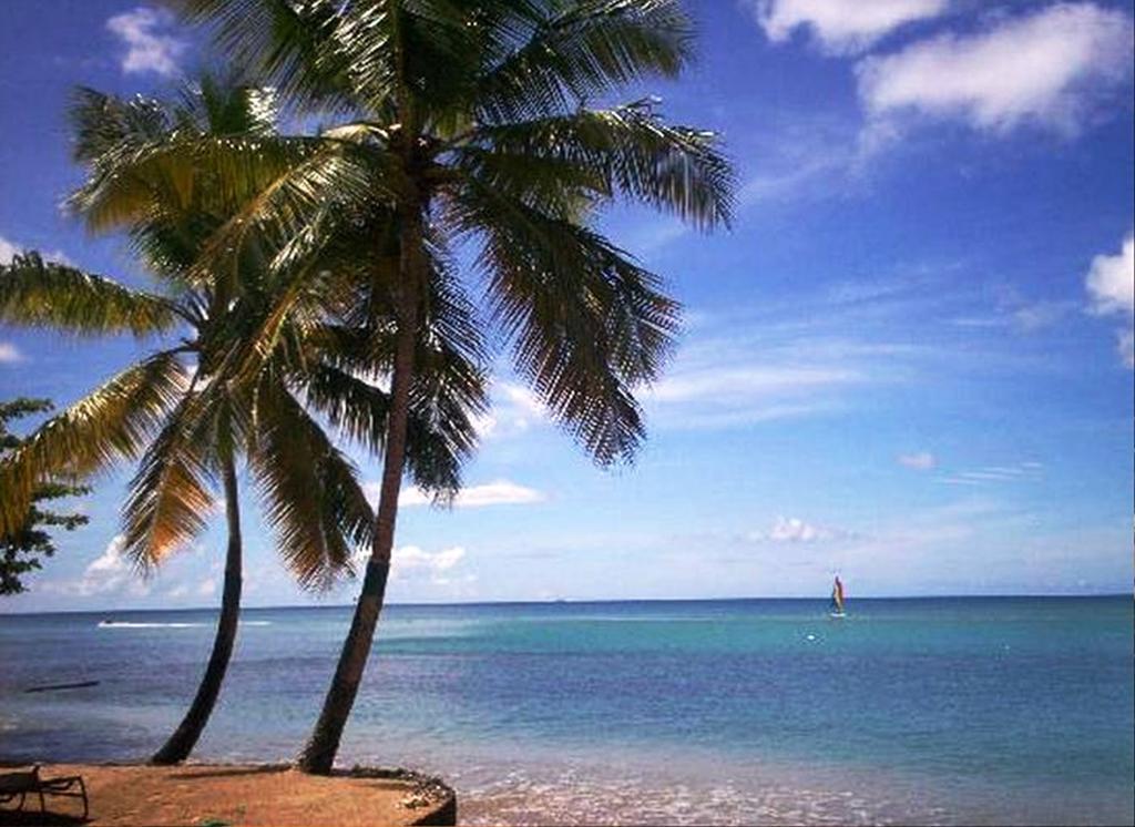 Hotel East Winds St. Lucia Gros Islet Zewnętrze zdjęcie