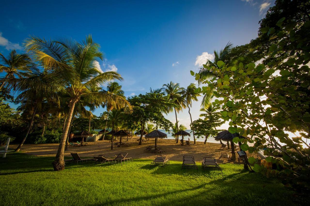 Hotel East Winds St. Lucia Gros Islet Zewnętrze zdjęcie